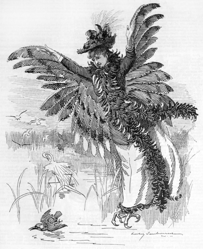 Fig. 8. Linley Sambourne, “Bird of Prey,” 