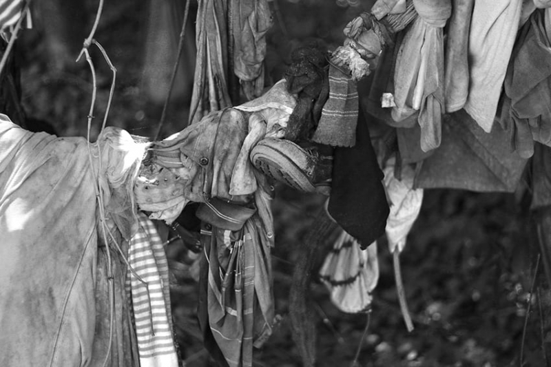 Reportage photographique