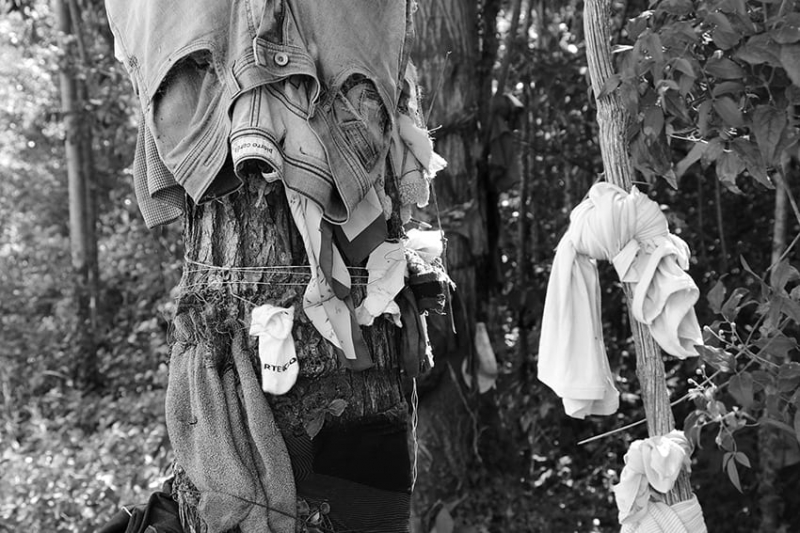 Reportage photographique